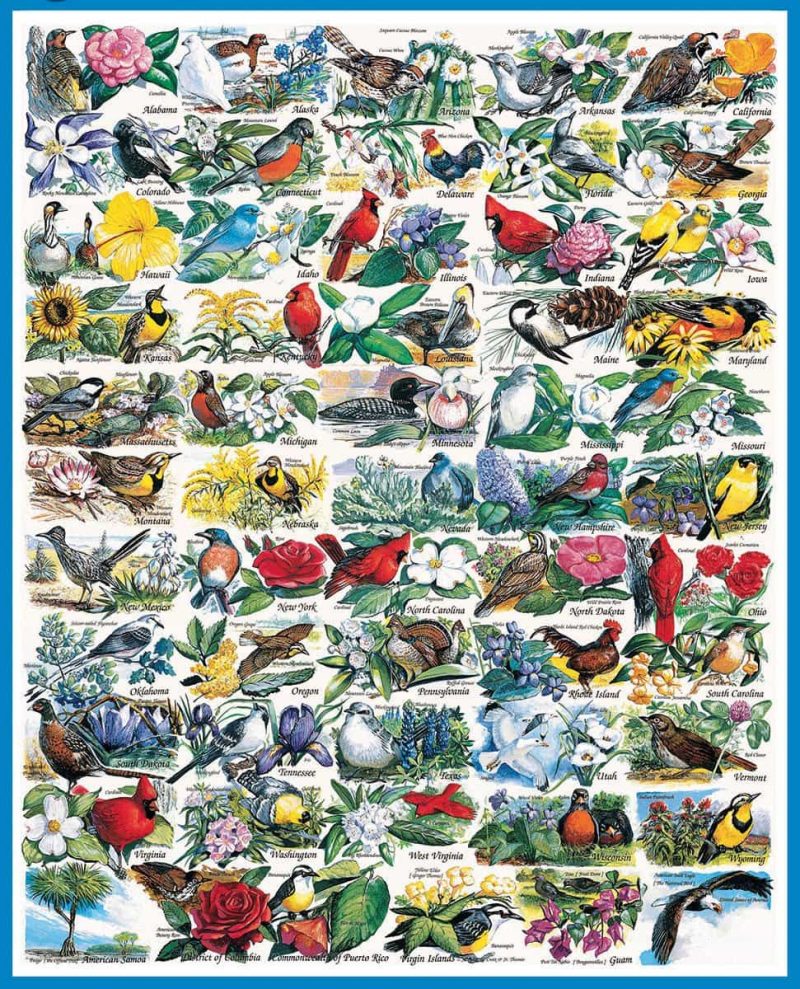 140 state birds flowers 1200