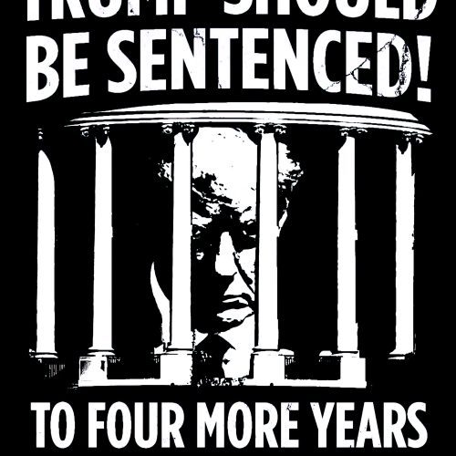 trump sentenced shirt