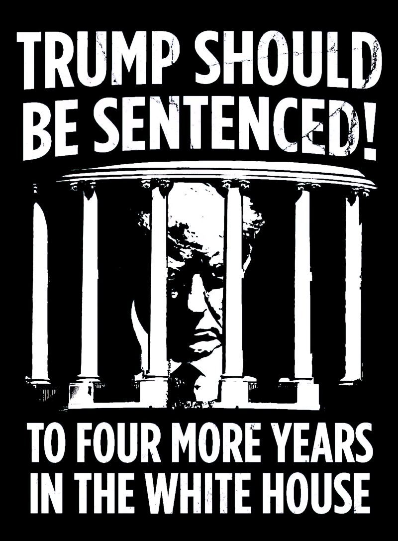 trump sentenced shirt